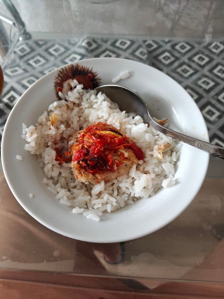 Фото тарелки с рисом, курицей и томатами